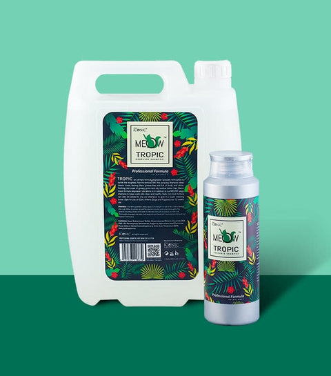 True Iconic, Tropic Degrease Shampoo, 深層潔油洗毛液