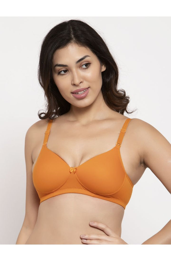 Women's Cotton Bra - Buy Falsa Best Padded T-Shirt Bra