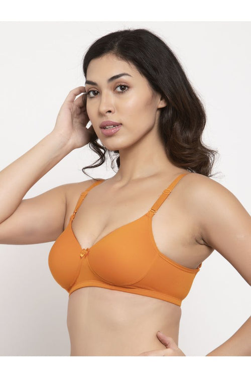 Buy Cotton Classic Padded Combo Bra For Women At Online