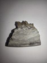 Load image into Gallery viewer, Hesperocyon (dog ancestor) Jaw Section with Tooth, Brule Formation