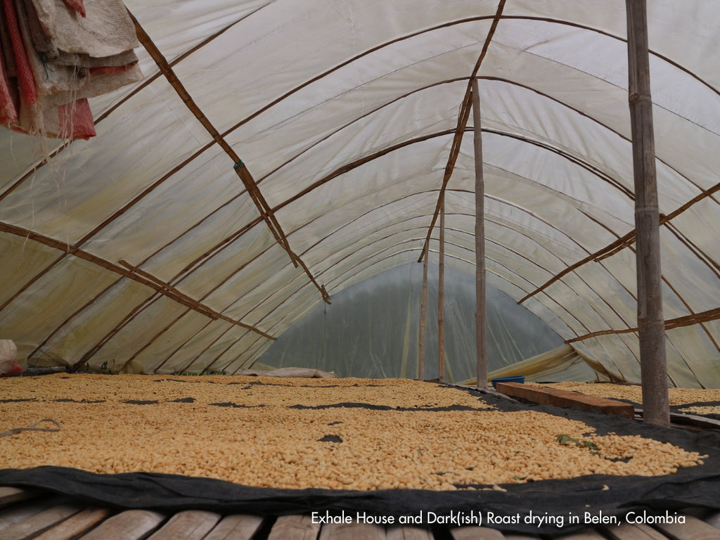 Exhale Coffee blog on coffee fermentation - 7