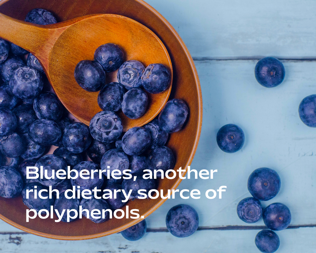 Blueberries and polyphenols