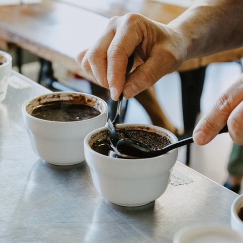 What is specialty coffee? 