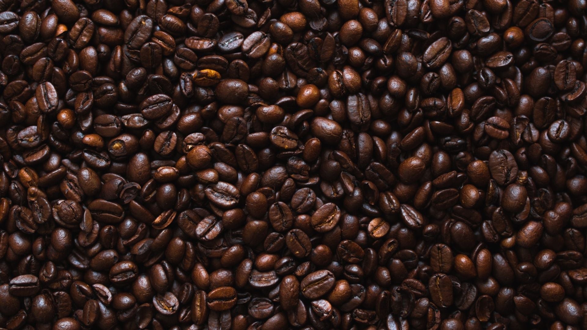 Light vs dark roast coffee