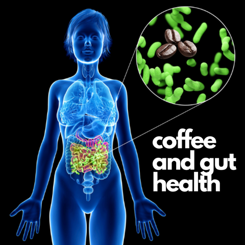 Coffee and gut health 1