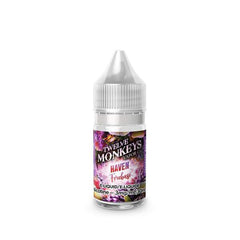Haven Iced By Twelve Monkeys Ice Age Salts - 30 ML