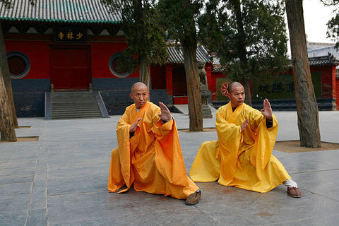 Shaolin Kung Fu training for beginners