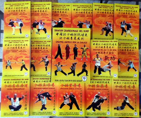 Kung Fu training guide for beginners