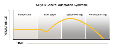 General Adaptation Syndrome