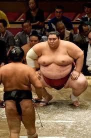 How Much Sumo Wrestlers Eat?