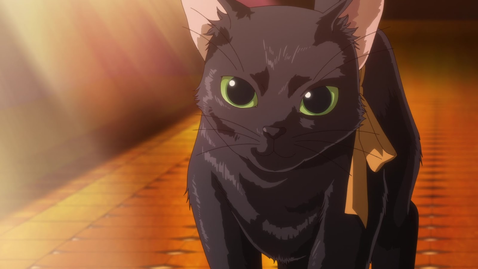 The Ancient Magus' Bride Season 2 Review: Chise's Magical Growth | Pinnedupink.com