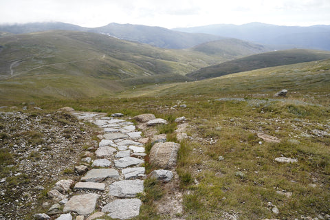 Stone Path on Main Range Walk