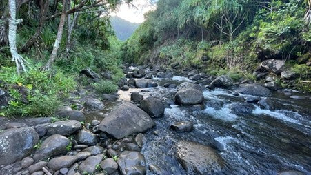 Creekbed on the Kalalau Trail