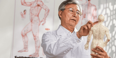 Acupuncturist Looking at Model For Understanding TCM