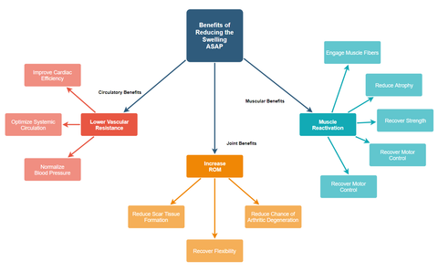 Chart showing the benefits of reducing swelling after ACL surgery