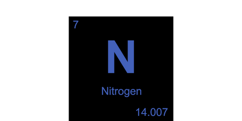 Alkaloids contain nitrogen