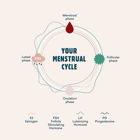 yoppie-the-menstrual-cycle