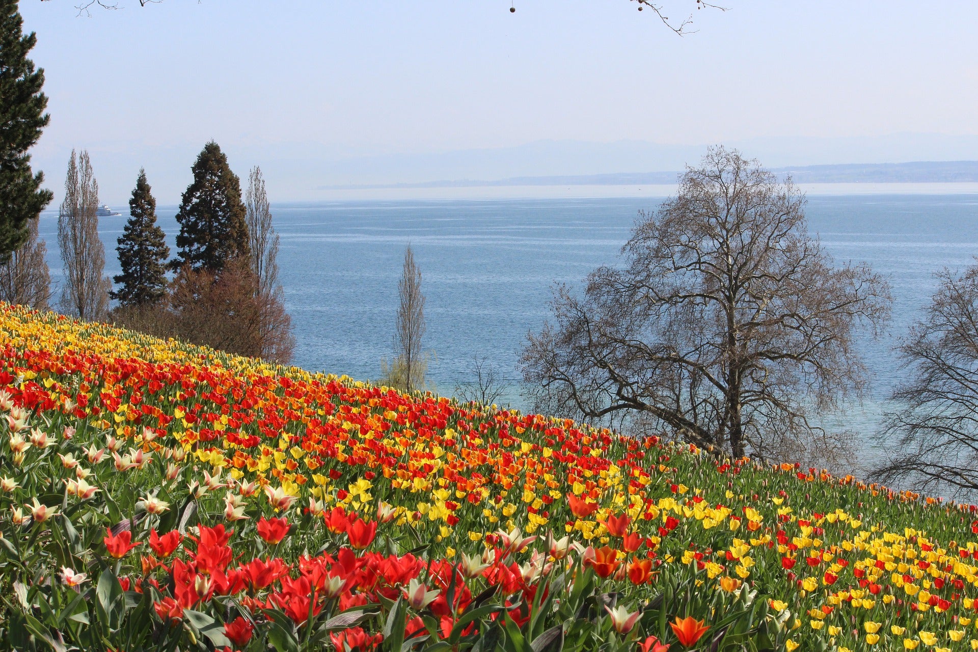 Gräfliches Schlossfest Insel Mainau