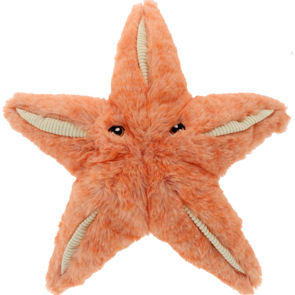 star fish plush