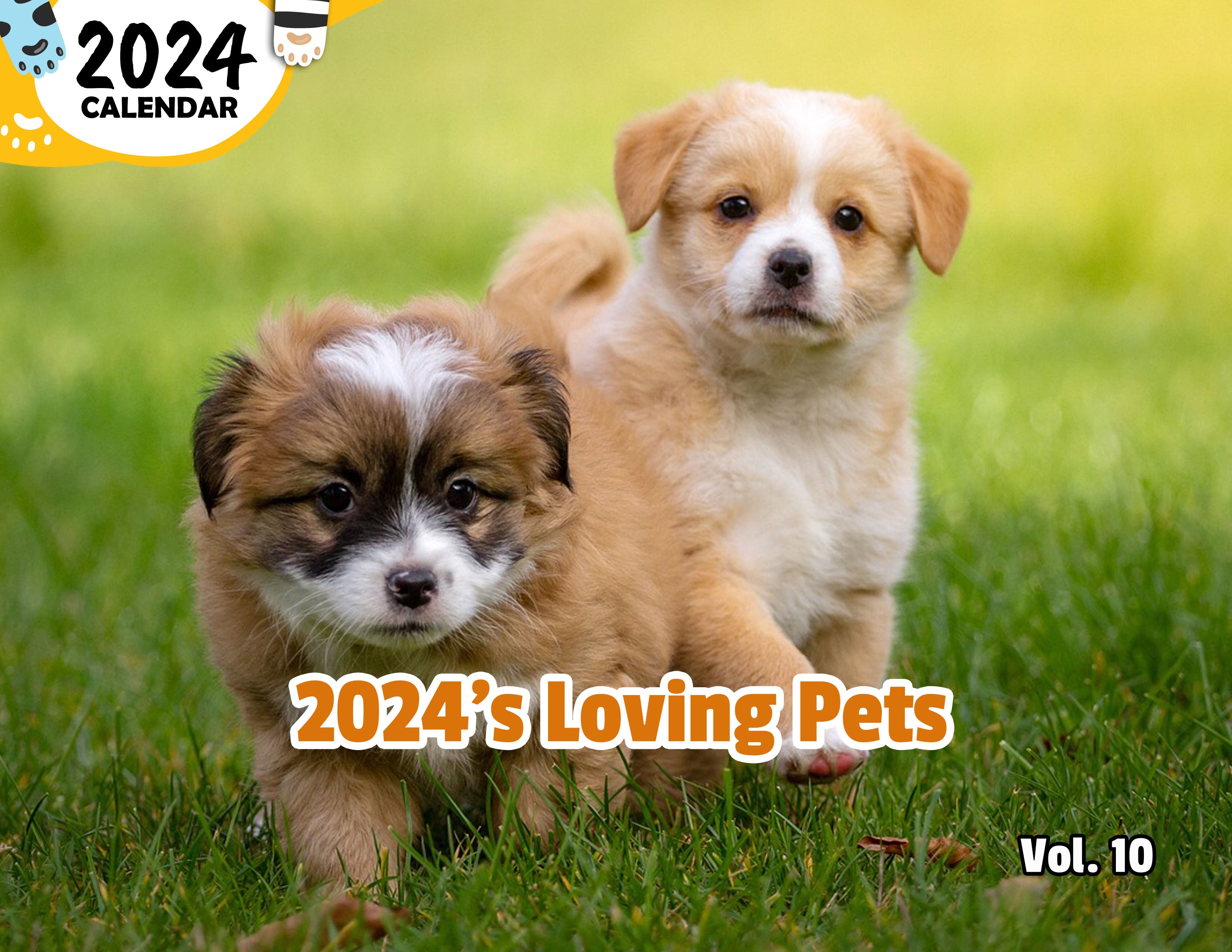 2024's Loving Pets Volume Ten 2024 Wall Calendar (Published) Praise My Pet! Reviews on Judge.me
