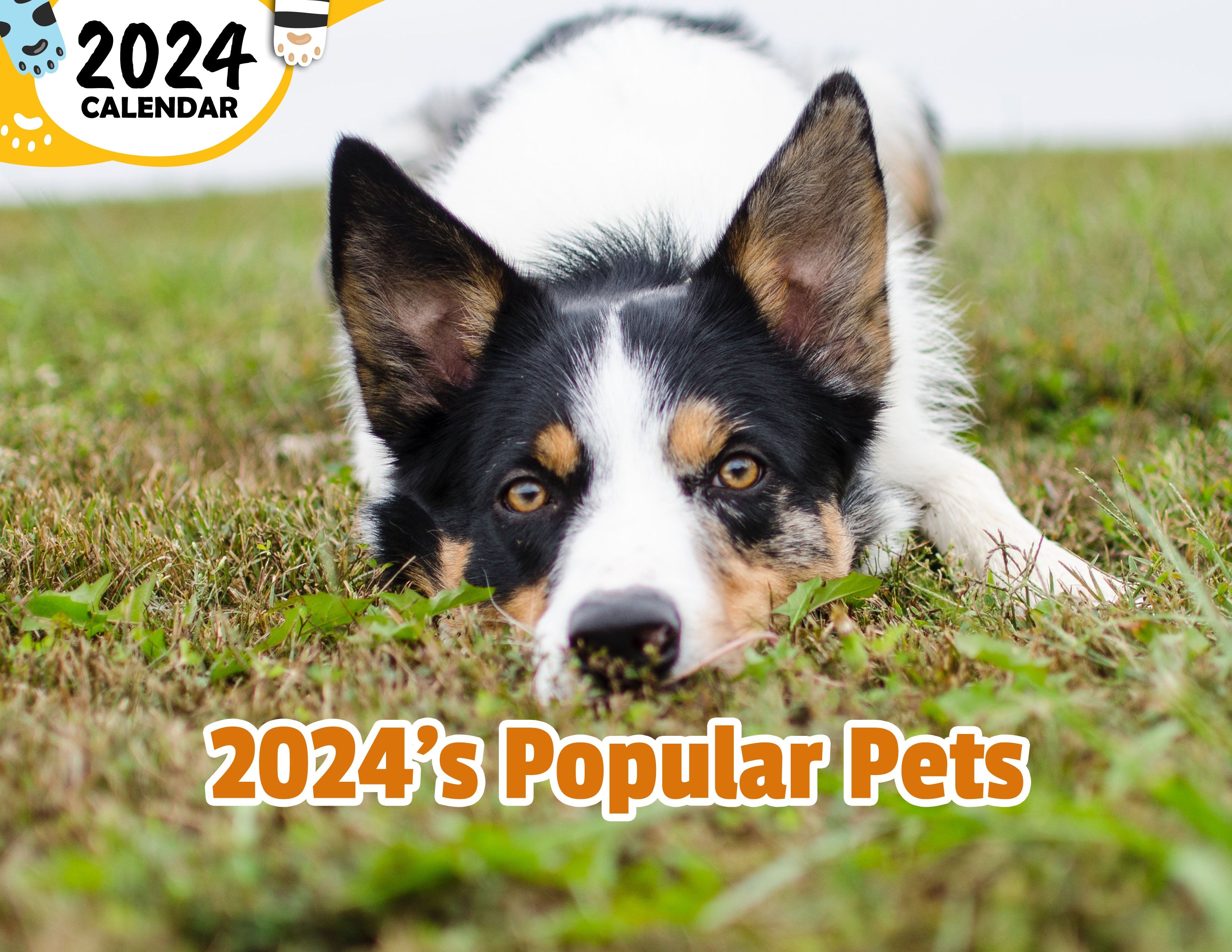 2024's Popular Pets 2024 Wall Calendar (Published) Praise My Pet