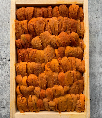 Daily Seafood  Sea Urchin Roe (Uni) - Bafun Bara Fresh Japanese