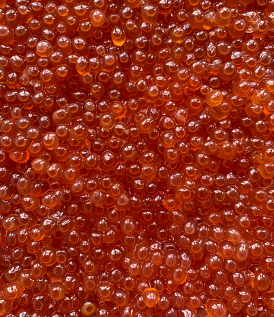 Natural Cure Trout Roe (France & Spain)