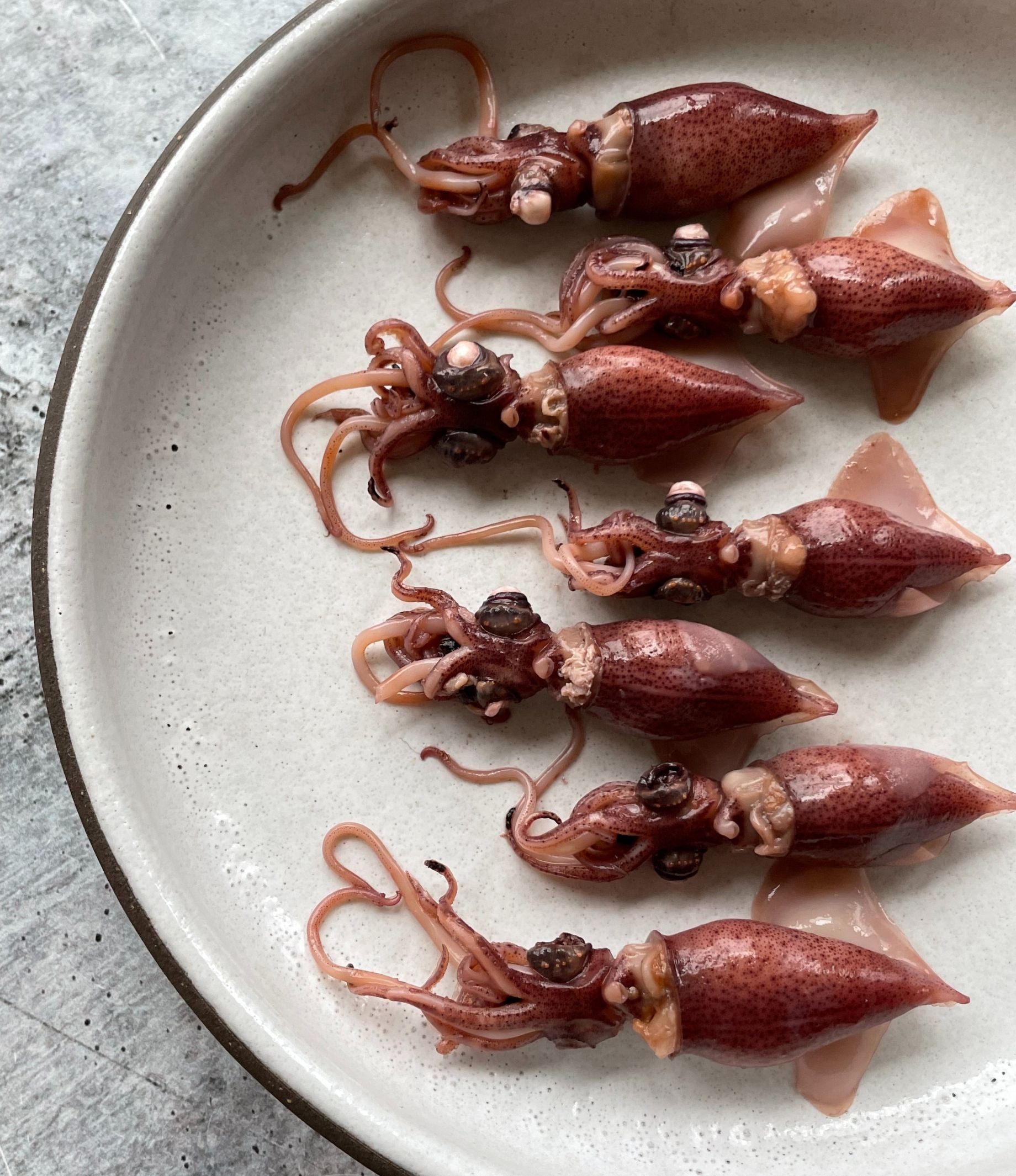 Verrijking Aardewerk Certificaat Hotaru Ika ホタルイカ (Firefly Squid) - Buy at Regalis Foods