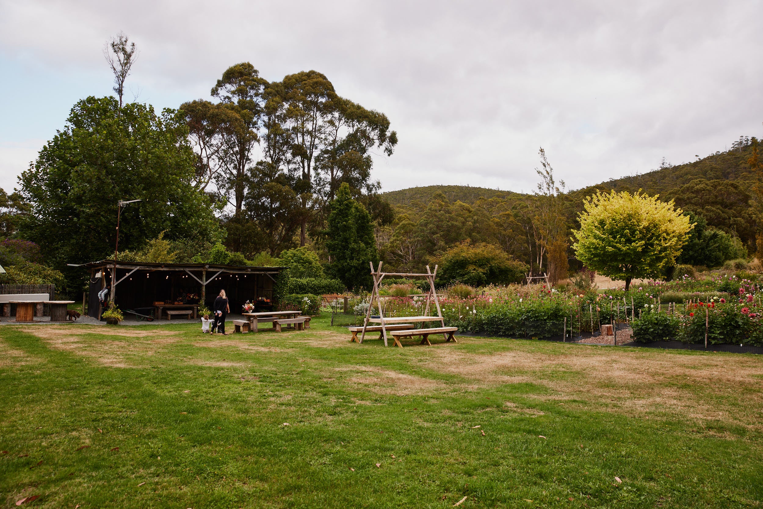 Earthenry Flower Farm