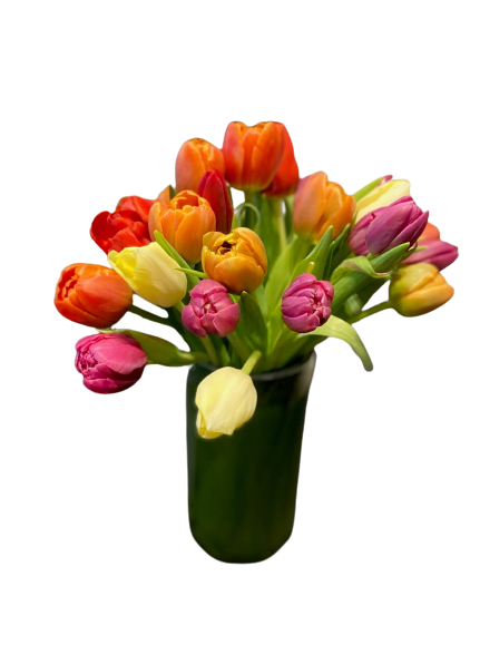 Dreamsicle by H.Bloom is a vibrant tulip arrangement consisting of various colors.