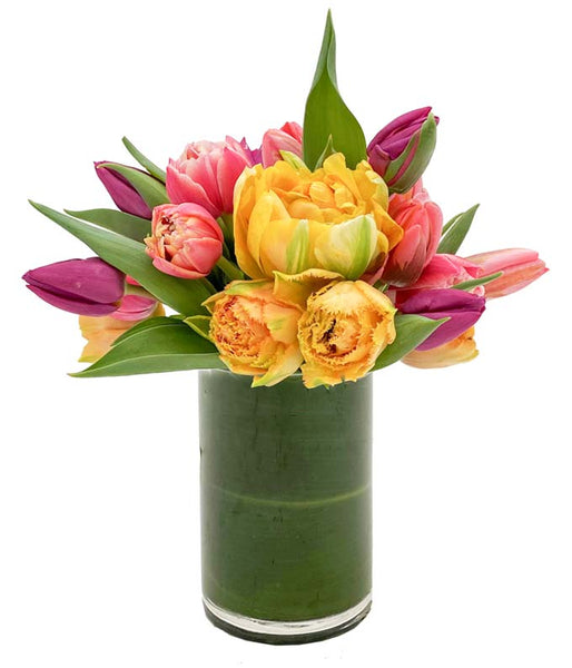 Dreamsicle by H.Bloom is a colorful tulip arrangement.