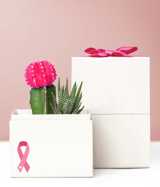 A mini succulent by Lula's Garden, decorated with pink for Breast Cancer Awareness Month.