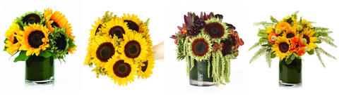 H.Bloom sunflower arrangements called Sunflower Cylinder, Premium Sunflower Bouquet, Farmhouse, and Golden Rod.