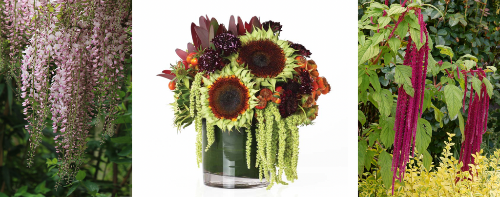 A unique floral arrangement featuring sunflowers and amaranthus, called Farmhouse by H.Bloom.