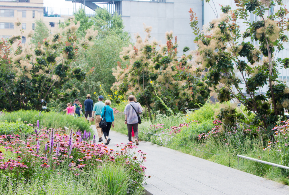 The Highline NYC Garden image