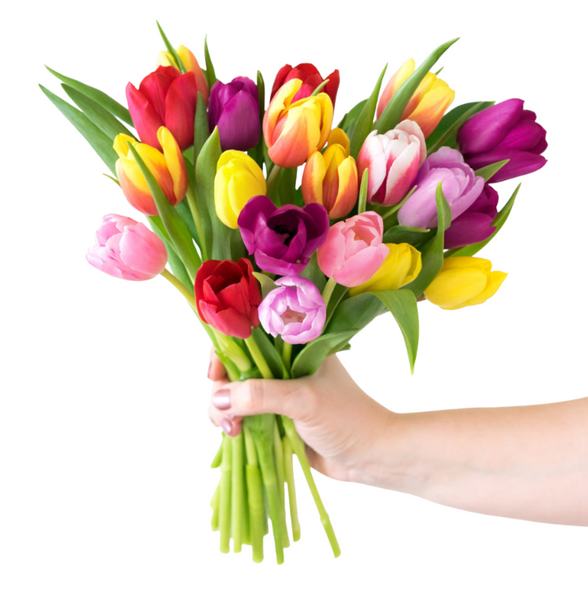 Vivid Tulip Bouquet by H.Bloom is a flower bundle featuring colorful tulips.