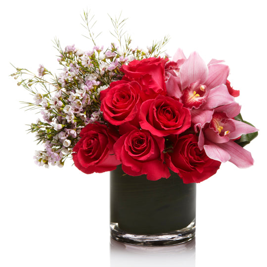 A red rose and pink orchid floral arrangement called Modern Romance, by H.Bloom.