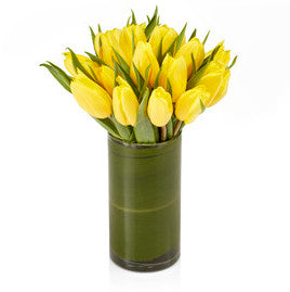 An all yellow tulip arrangement, called Tulip Temptation by H.Bloom.