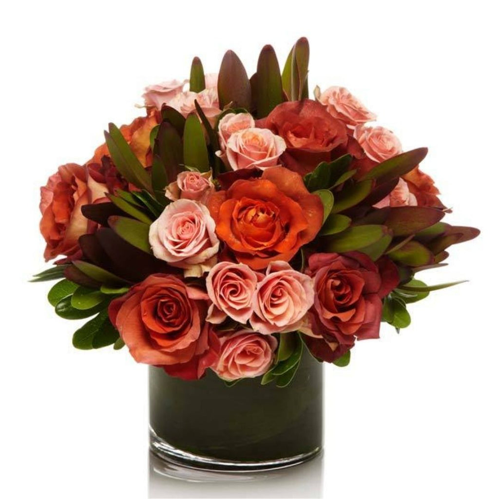 Love Blooms - Modern Style - 12 Red Roses in Vase - Van Belle Flowers