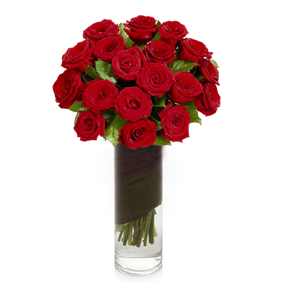 12 Red Roses - Birthday Bundle