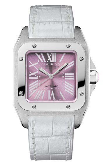 Custom Watch Dial W20133X8