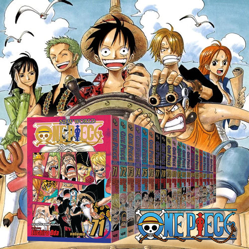 One Piece Anime House