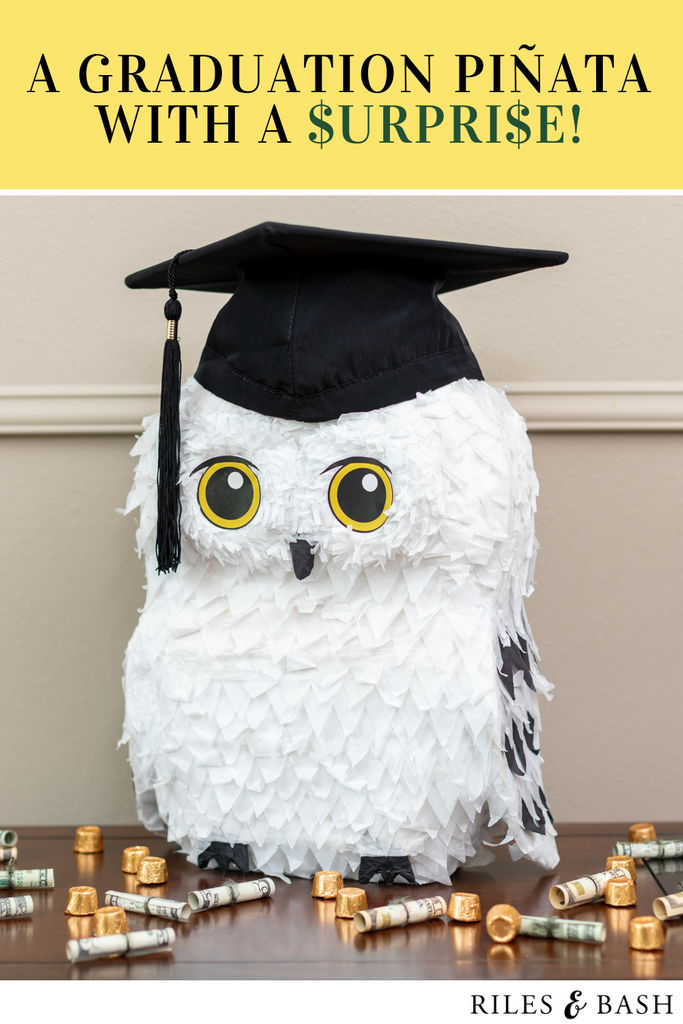 Riles & Bash party supplies_A Graduation Pinata with a Surprise_grad pinata_owl pinata