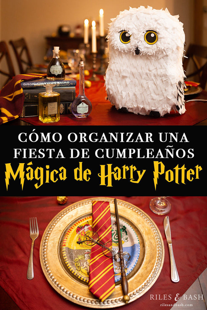 FIESTA DECORACION HARRY POTTER NINO