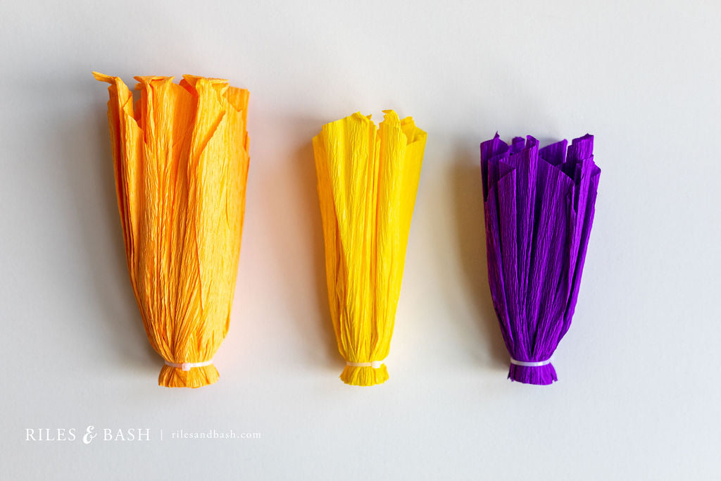 Riles & Bash Fiesta Mexican Streamer Backdrop with Crepe Paper Fiesta Flowers_How to Build a Fiesta Backdrop_Cinco De Mayo_Fiesta_Taco Bar Party_Riles & Bash Party