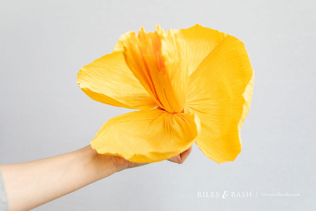 Riles & Bash Fiesta Mexican Streamer Backdrop with Crepe Paper Fiesta Flowers_How to Build a Fiesta Backdrop_Cinco De Mayo_Fiesta_Taco Bar Party_Riles & Bash Party