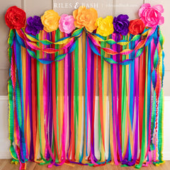 Riles & Bash_Fiesta Streamer Backdrop with Crepe Paper Flowers