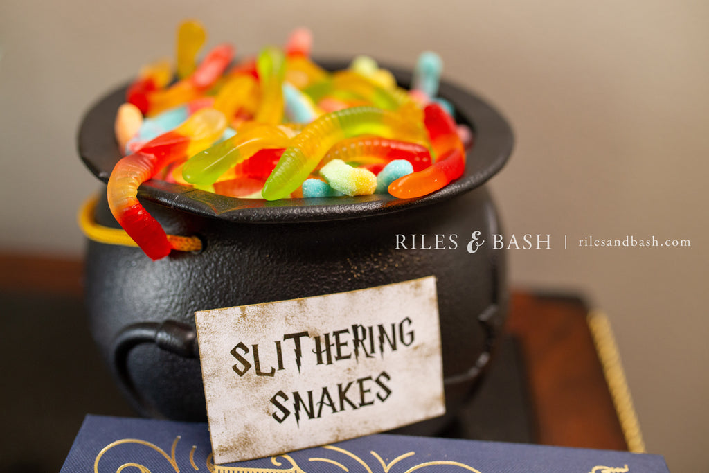 Cómo Organizar una Fiesta de Cumpleaños Mágica de Harry Potter – Riles &  Bash