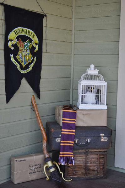 Riles & Bash_Harry Potter Halloween_photo:catchmyparty