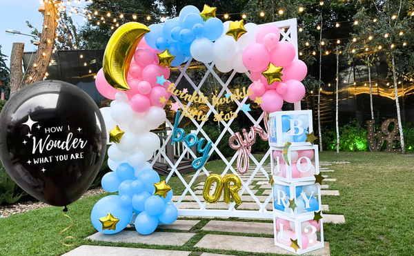 Twinkle Twinkle Little Star Gender Reveal Decorations - Includes Gender Reveal Balloon Arch Garland & GIRL BOY Balloon Boxes & Gender Reveal Balloon and More – Gender Reveal Ideas